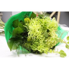Bells of Ireland Bouquet